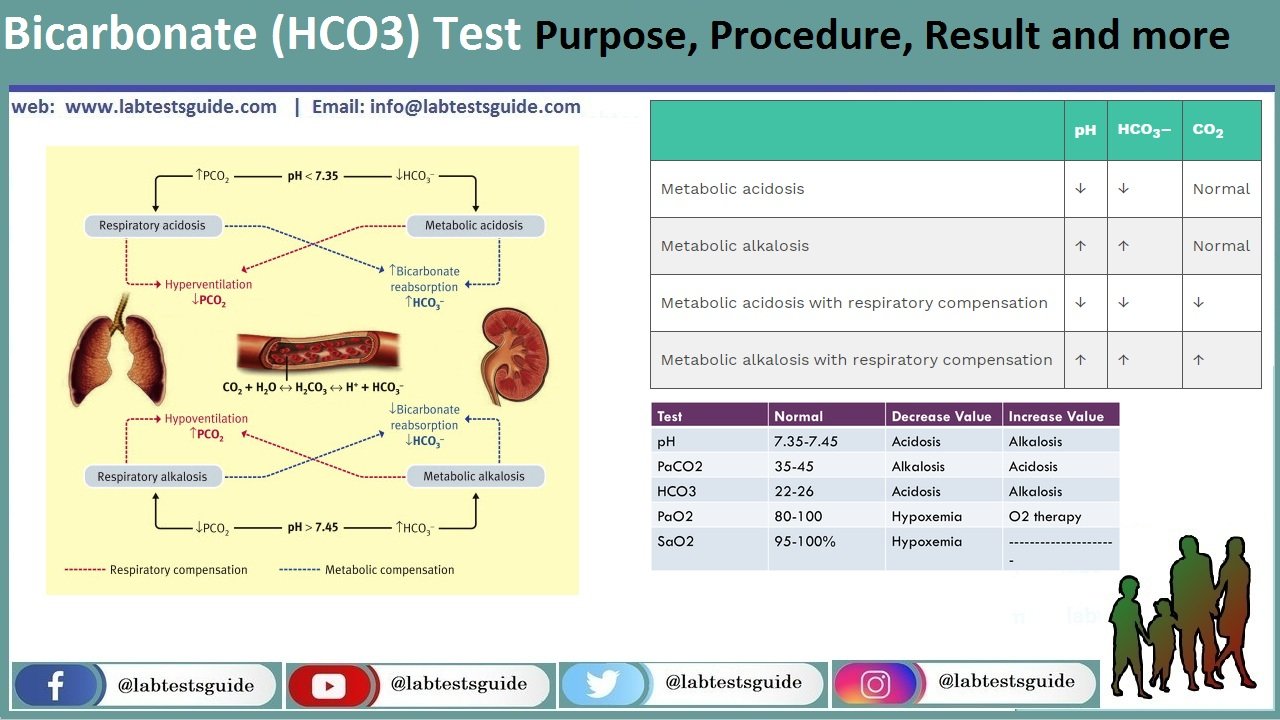 Bicarbonate (HCO3) Bicarbonate (HCO3) Test
