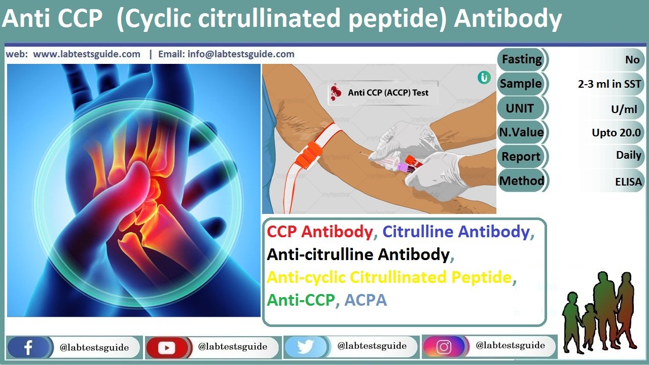 Anti CCP Antibody