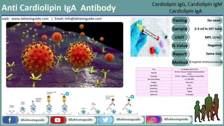 Cardiolipin IgA