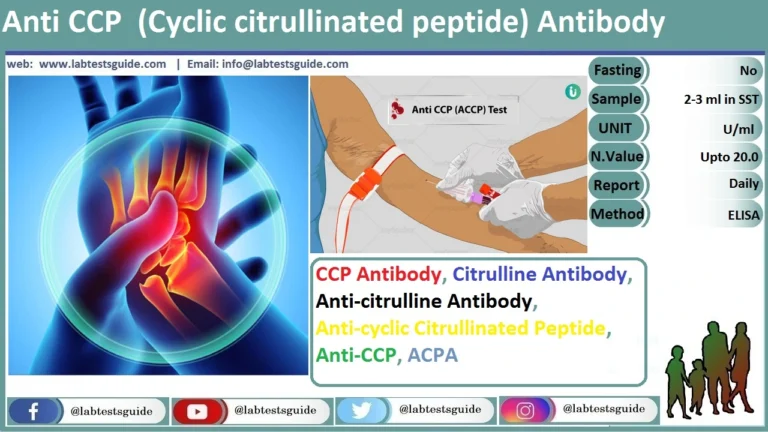 Cyclic Citrullinated Peptide Antibody
