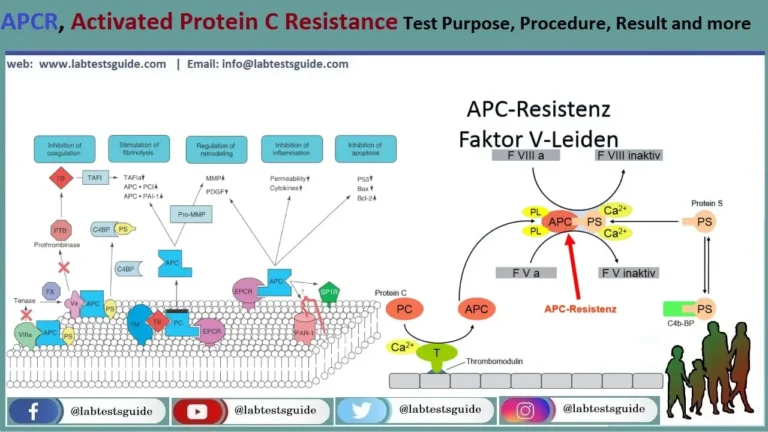 APCR (Activated Protein C Resistance)