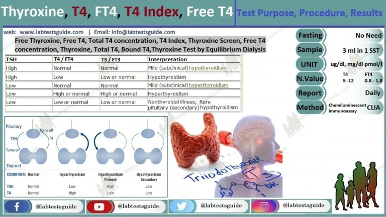 Free Thyroxine Index