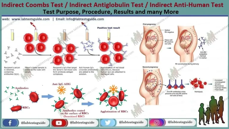 Indirect Antiglobulin Test