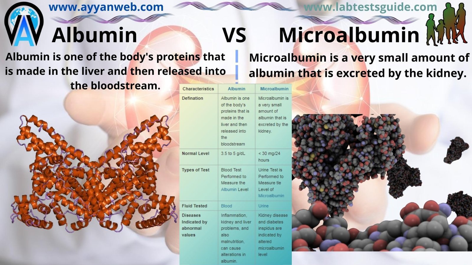 Albumin VS Microalbumin, Definations And Vomparison LTG