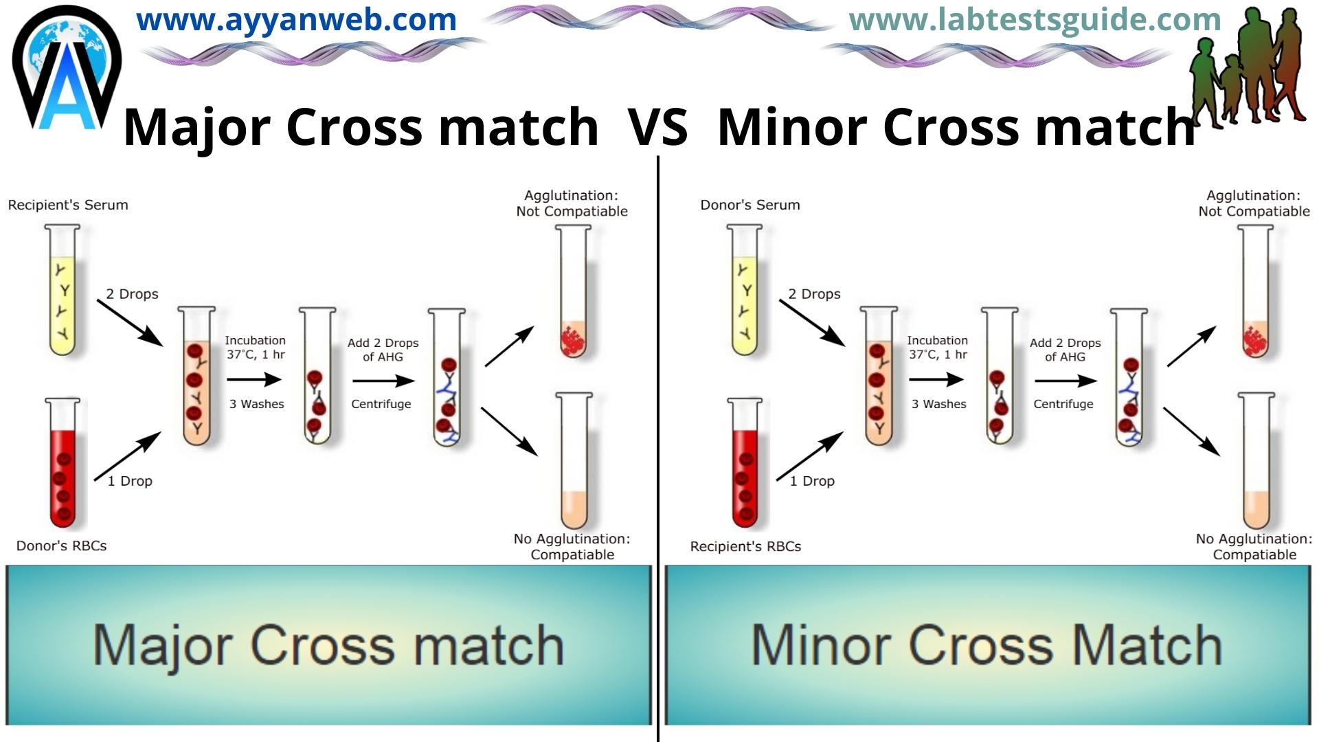 Cross match. Cross Match анализ. Cross Match положительная. Cross Match уровень 1 эксперт. Карты биорад Кроссматч состав геля.