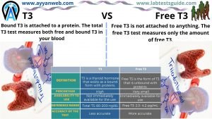 Difference Between | Lab Tests Guide