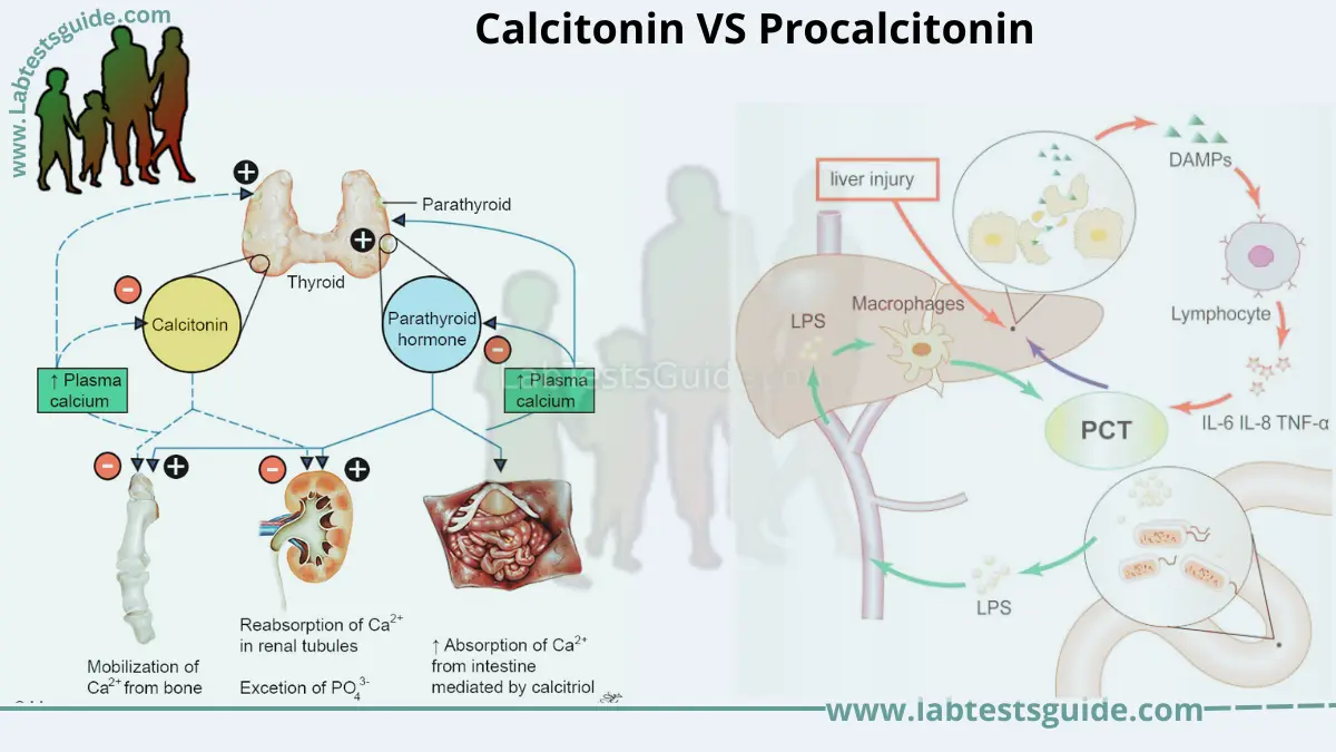 Calcitonin VS Procalcitonin