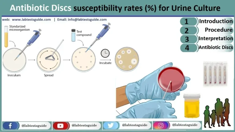 Urine Culture Antibiotic Discs