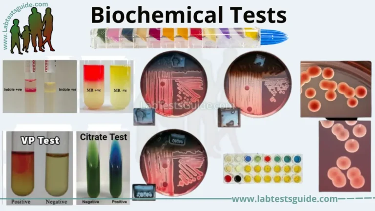 Biochemical Tests