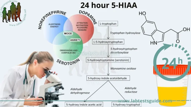 24 hour 5-HIAA Test
