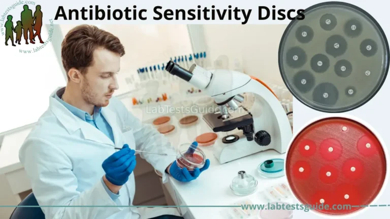 Antibiotic Sensitivity Discs