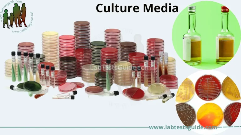 Culture Media