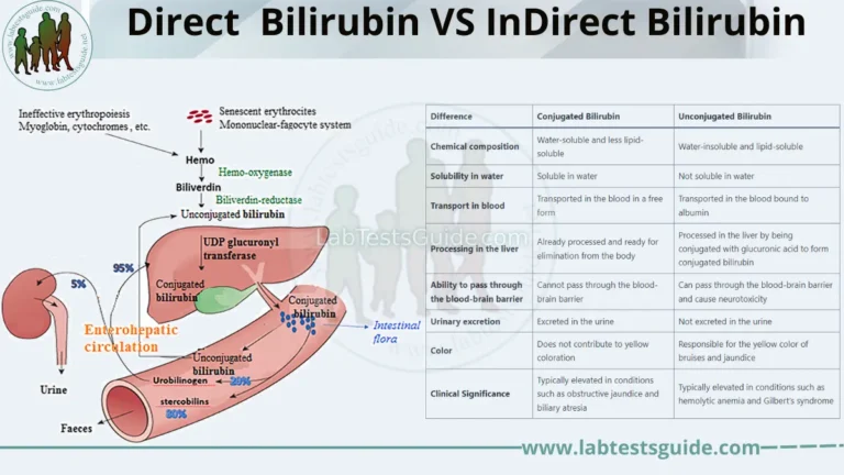 Direct Bilirubin VS Indirect Bilirubin