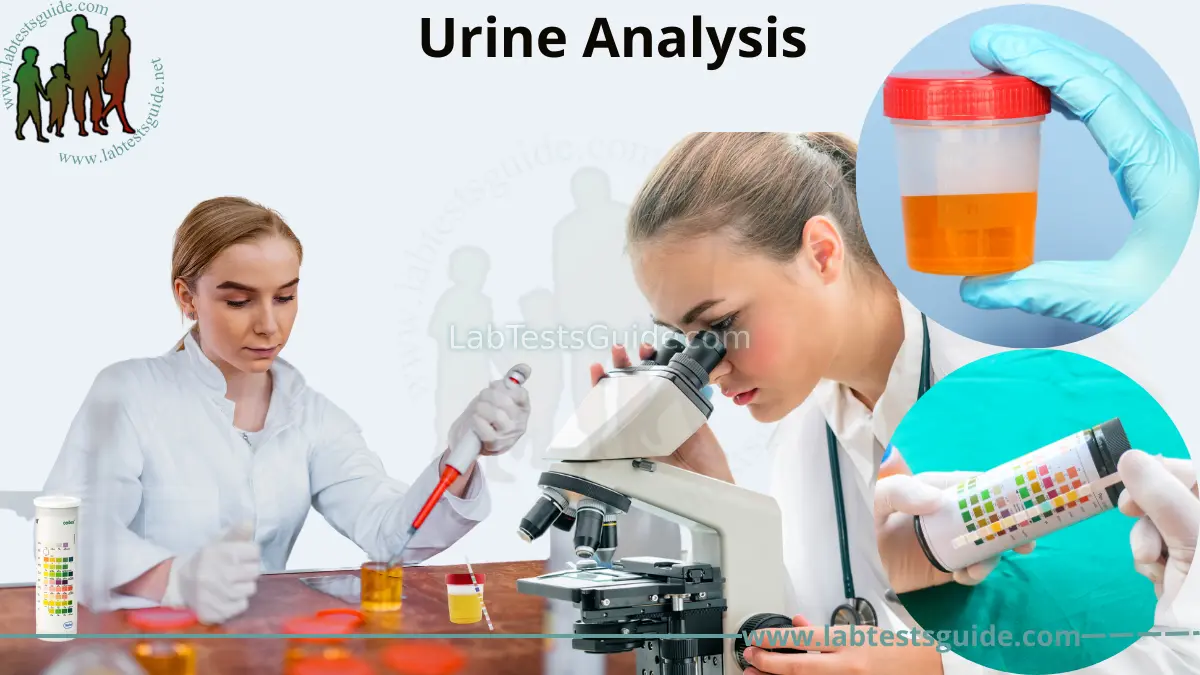 Lab Test Abbreviations, Acronyms And Definations