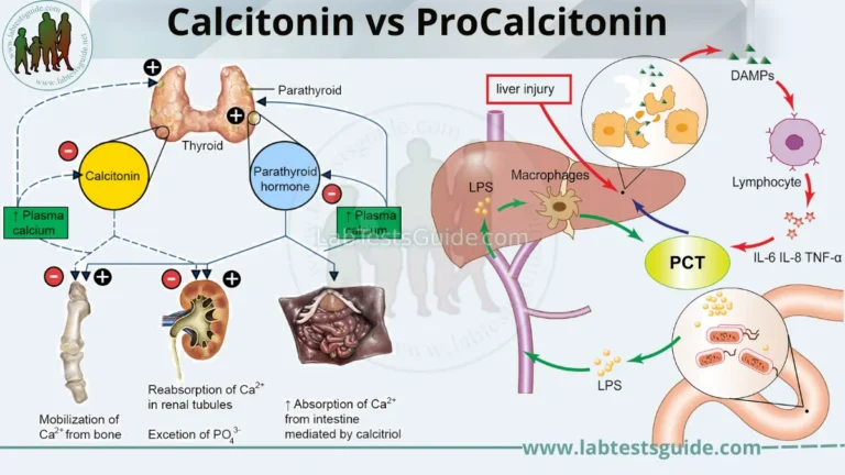 Calcitonin vs ProCalcitonin