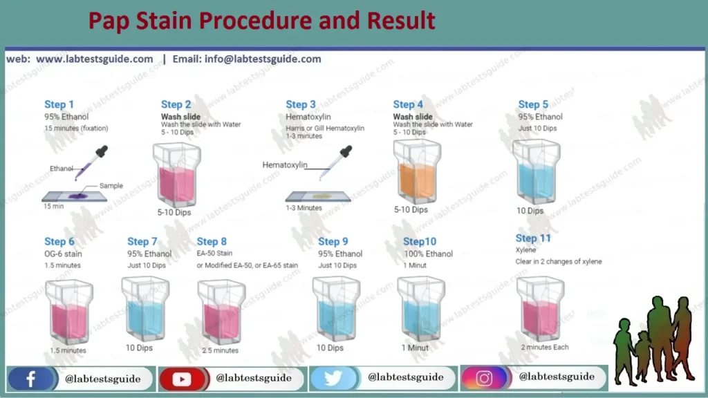 Pap Stain Procedure