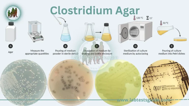 Clostridium Agar