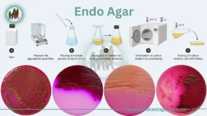 Endo Agar