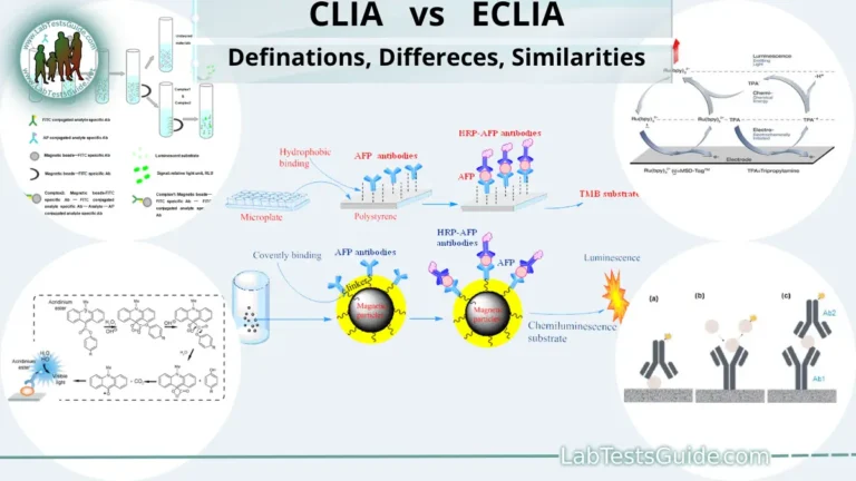 CLIA vs ECLIA