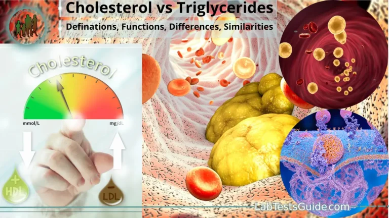 Cholesterol vs Triglycerides