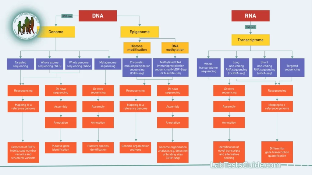 Application of Next-Generation Sequencing (NGS)