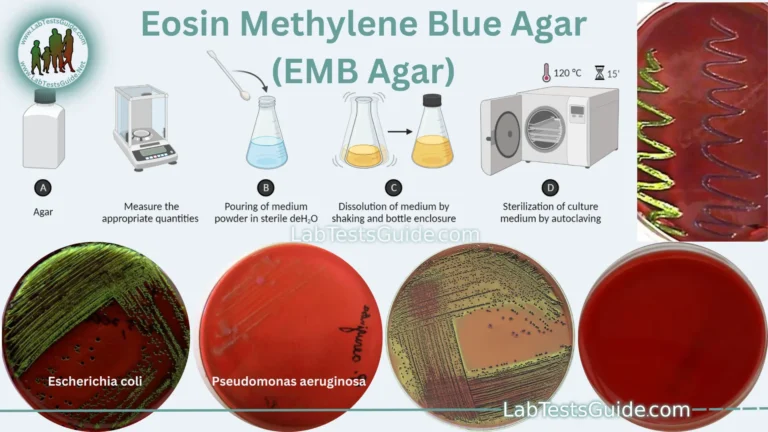 Eosin Methylene Blue Agar (EMB Agar)