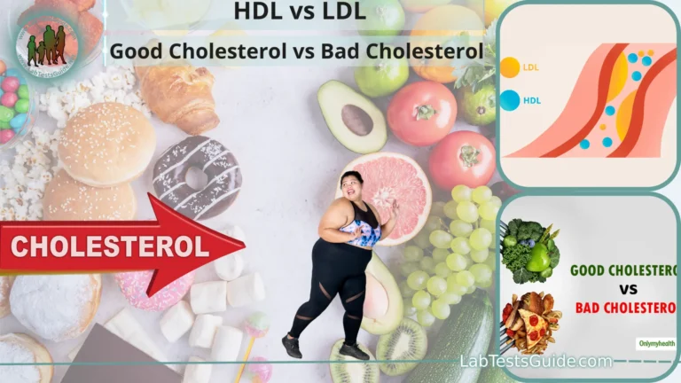 Good Cholesterol vs Bad Cholesterol ( HDL vs LDL)