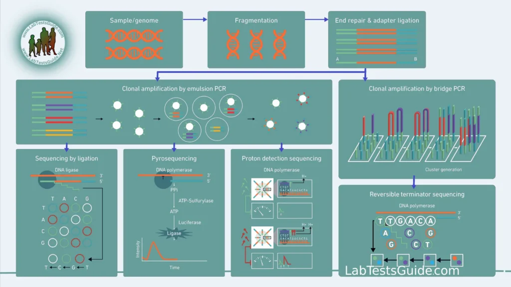 Next-Generation Sequencing (NGS) Sequencing Platforms