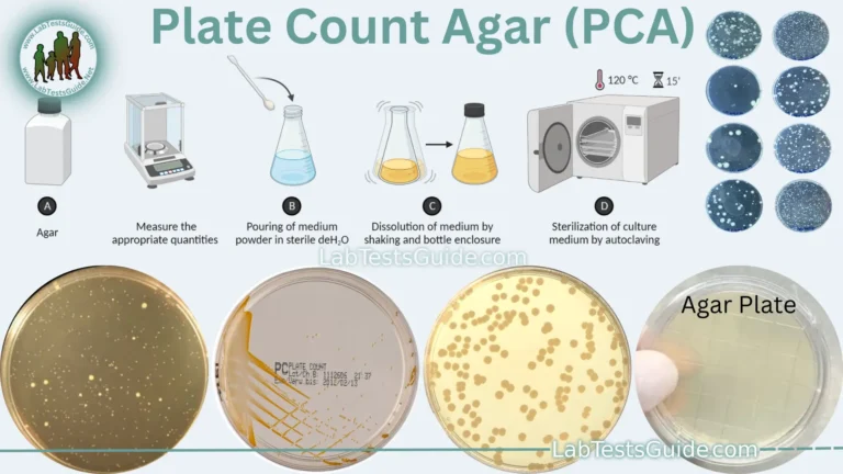 Plate Count Agar (PCA)