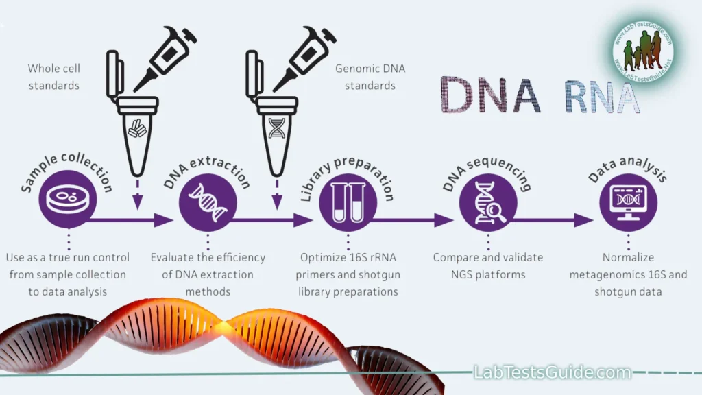 Procedure of NGS