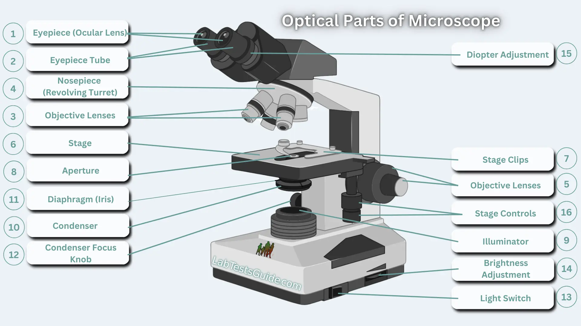 Optical parts Optical Parts of Microscope