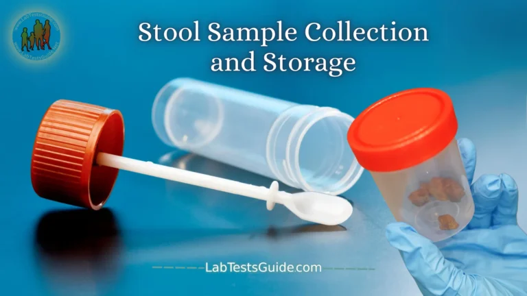 Stool Sample Collection and Storage: Essential Steps for Accuracy