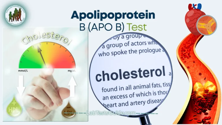 The Best Cholesterol Test You Didn't Know You Needed