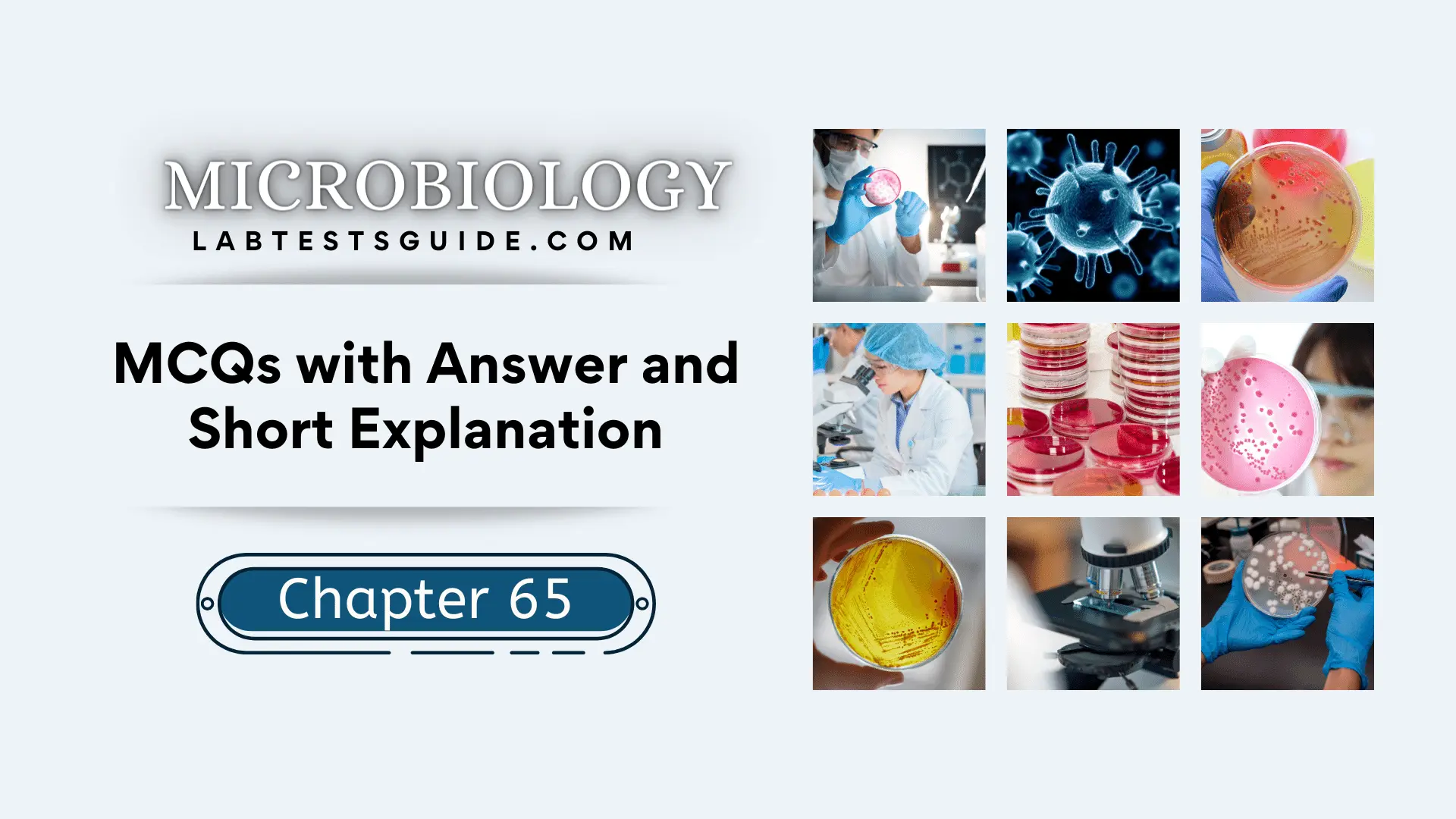 Microbiology MCQs Chapter 65
