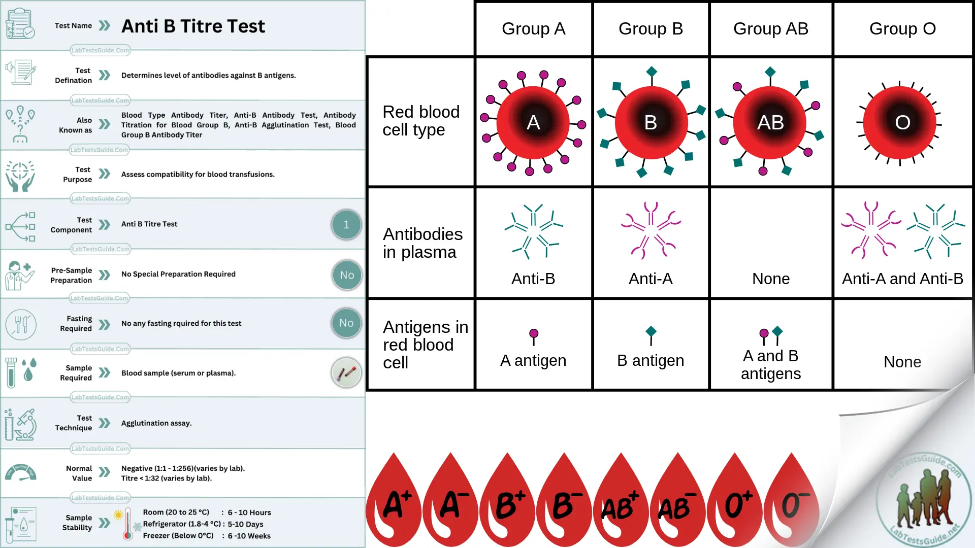 Anti B Titre Test For Blood Transfusions