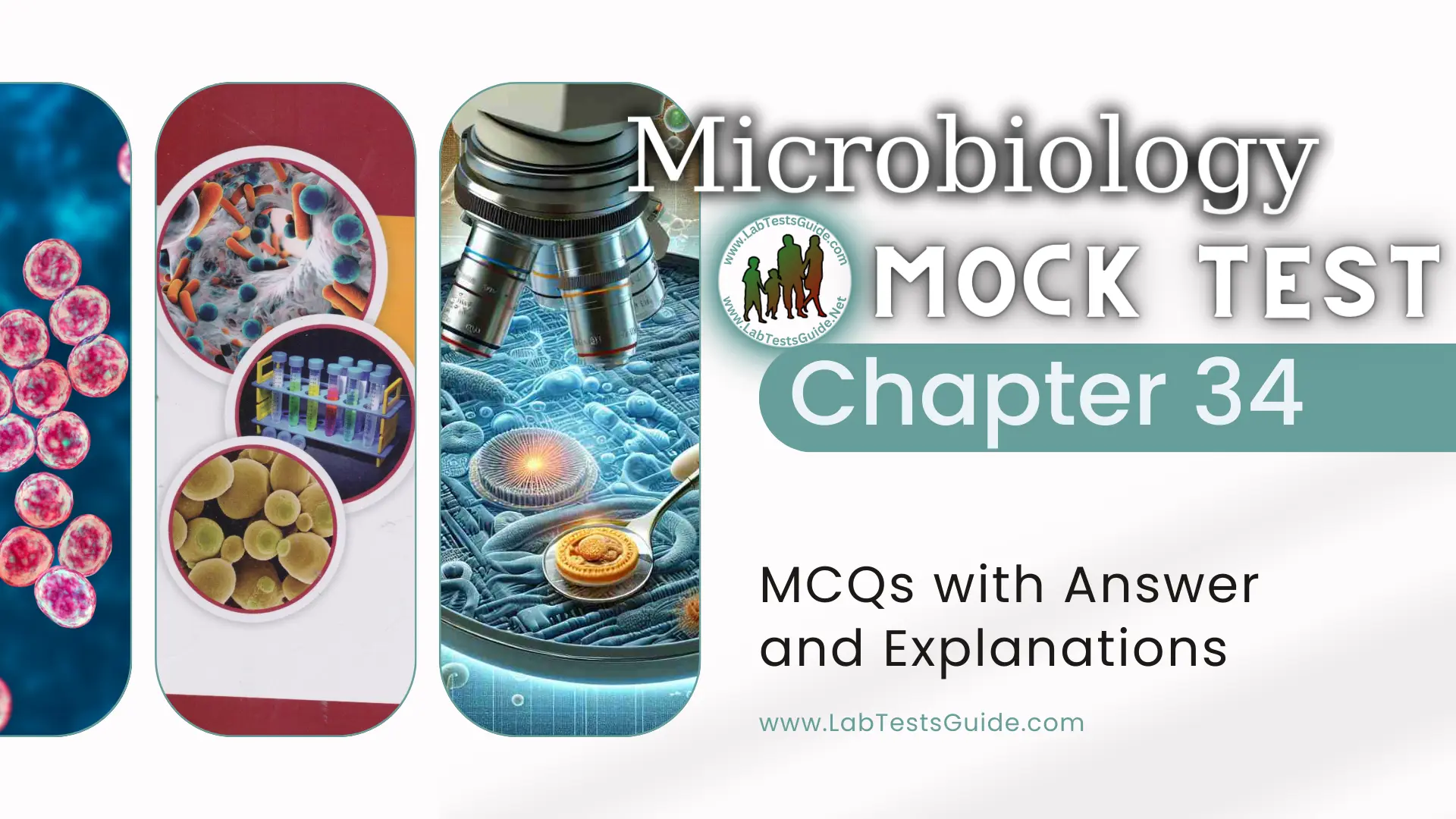 Microbiology MCQs Mock Test - Chapter 34