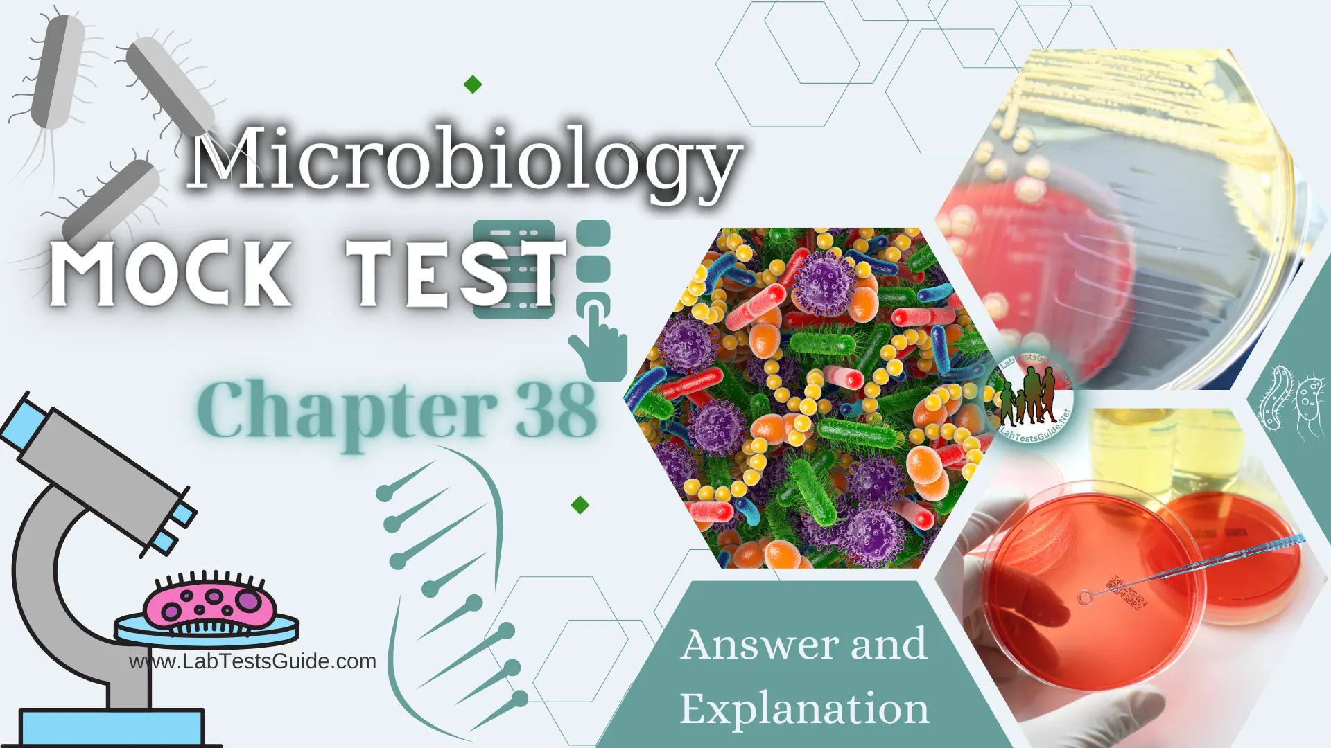 Microbiology MCQs Mock Test - Chapter 38