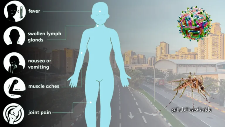 West Nile Virus Suspected in Fatalities of Two Women in Their 80s in Petah Tikva