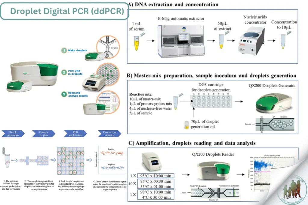 Droplet Digital PCR (ddPCR) Droplet Digital PCR (ddPCR)