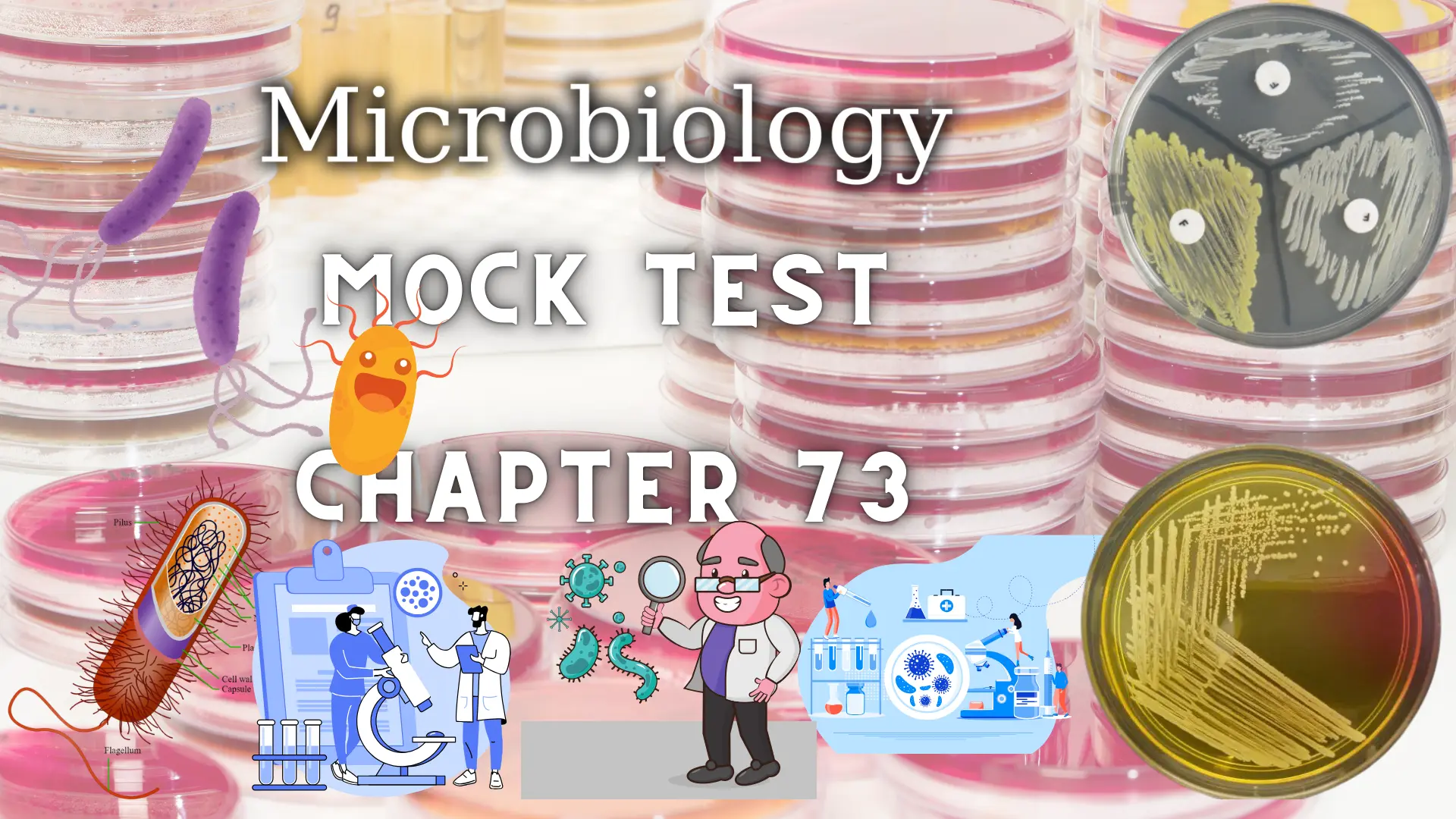 Microbiology MCQs Mock Test - Chapter 73