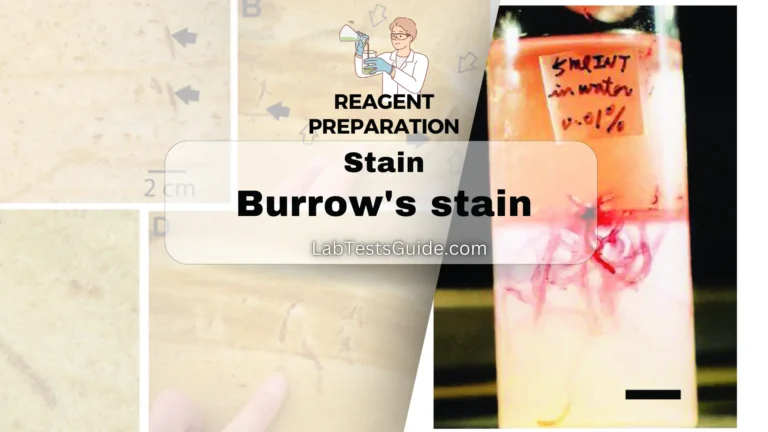 Burrow's stain