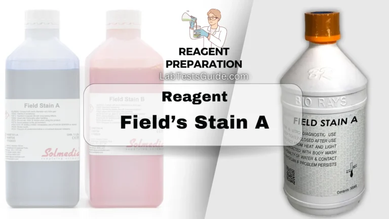 Field’s Stain A
