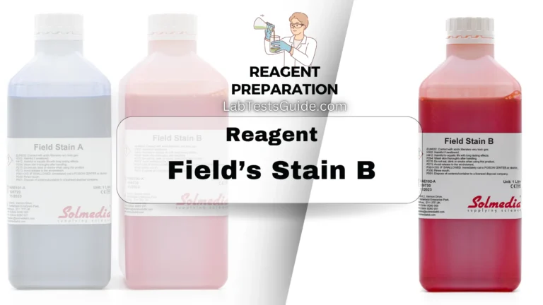 Field’s Stain B