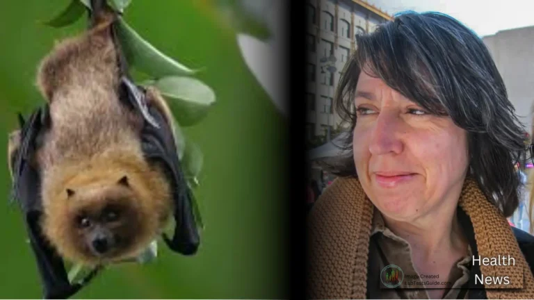 California Art Teacher Dies of Rabies After Classroom Encounter with Bat