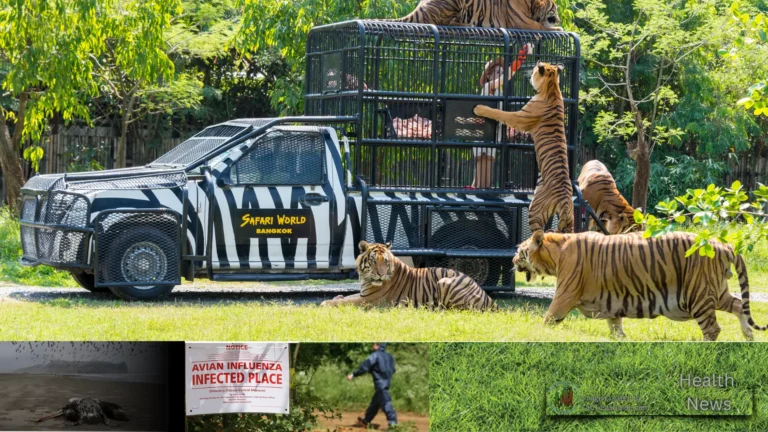 Five Animals Dead Following Bird Flu Outbreak at Wildlife World Zoo