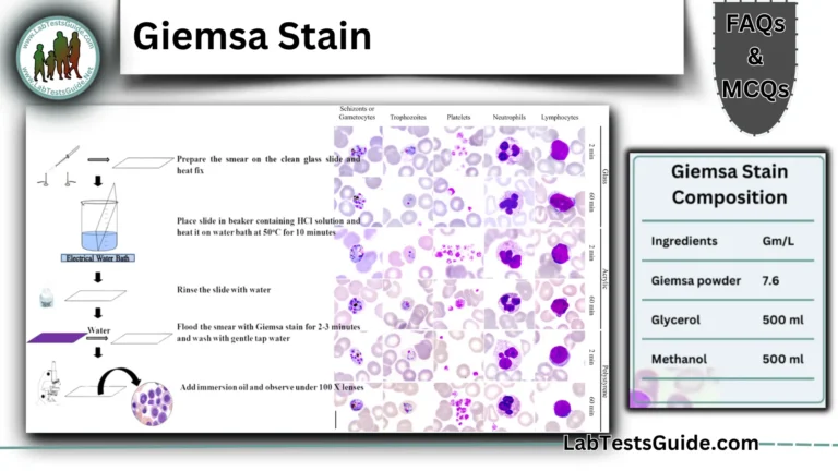 Giemsa Stain FAQs and MCQs