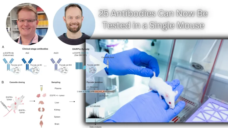 UZH Researchers Revolutionize Antibody Testing 25 Antibodies Can Now Be Tested in a Single Mouse
