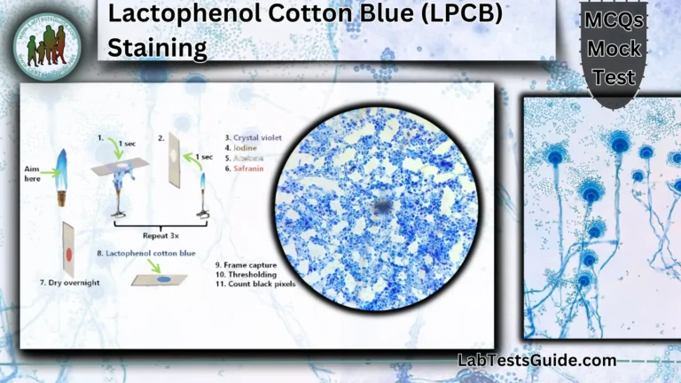Lactophenol Cotton Blue (LPCB) Staining MCQs Mock Test