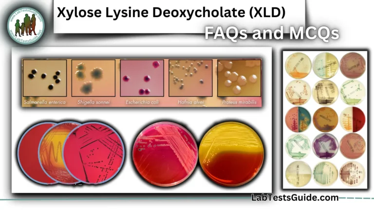 Xylose Lysine Deoxycholate (XLD) agar FAQs and MCQs