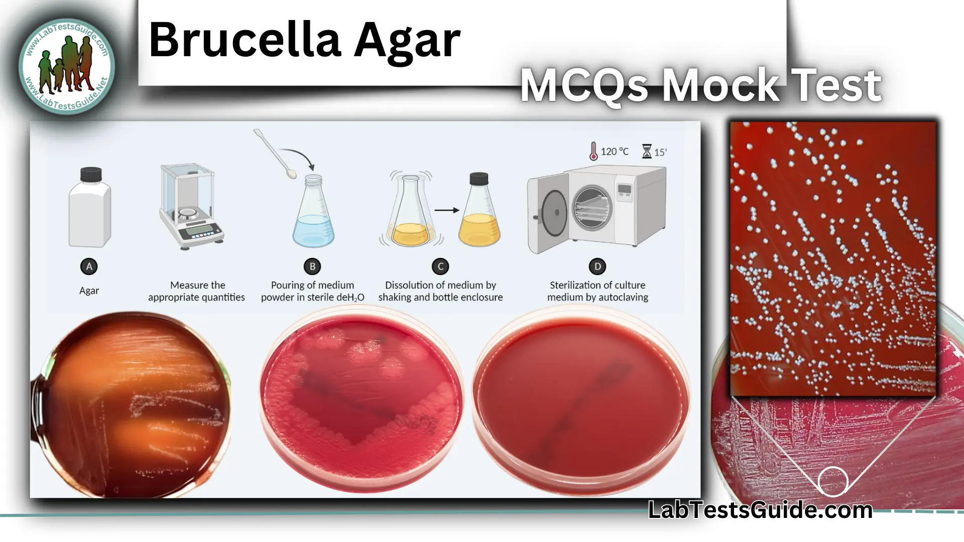 Brucella Agar MCQs Mock Test